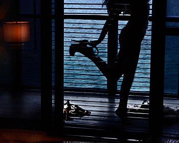David Drebin -&nbsp;David Drebin The Morning After