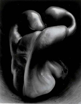 Edward Weston -&nbsp;Edward Weston Pepper