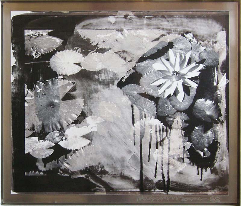 Robert Rauschenberg, Mexican Water Lilies, 1988
Original Photographic Transfer on Aluminum, 21 x 26 inches