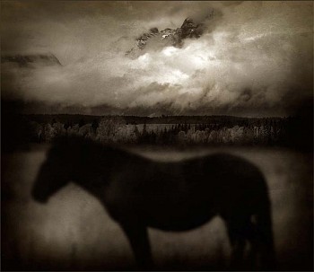 Jack Spencer -&nbsp;Jack Spencer Dark Horse, Wyoming