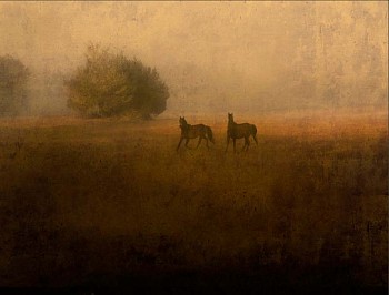 Jack Spencer -&nbsp;Jack Spencer Two Wild Horses, Cumberland Island, GA