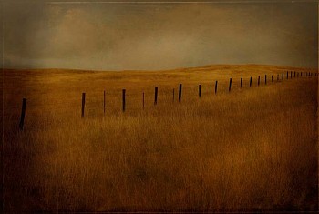 Jack Spencer -&nbsp;Jack Spencer Fenceline