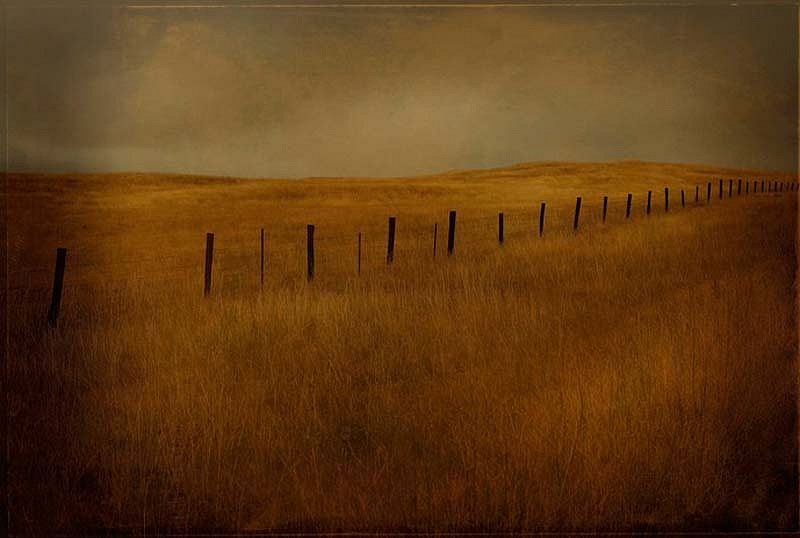 Jack Spencer, Fenceline, 2005
Archival Pigment Print with Mixed Media Glaze, 42 x 61 inches