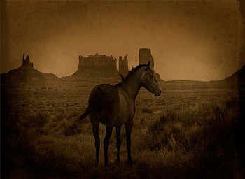 Jack Spencer -&nbsp;Jack Spencer Mustang/Monument Valley, Utah
