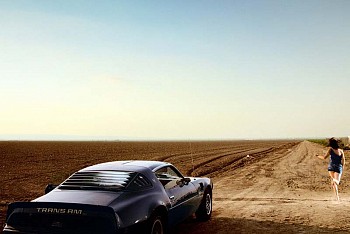 David Drebin - David Drebin Trans Am