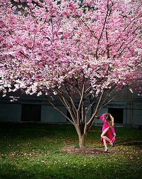 David Drebin - David Drebin Pink Moment