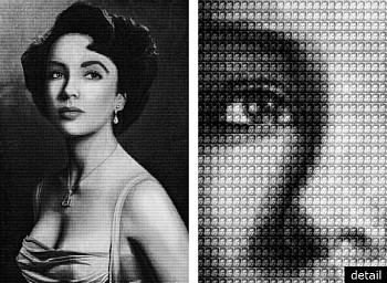 Alex G. Cao - Alex G. Cao LIZ vs BURTON, AFTER HALSMAN