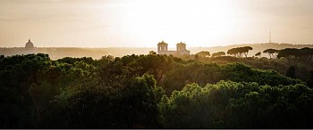 David Drebin - David Drebin Caesar's Empire