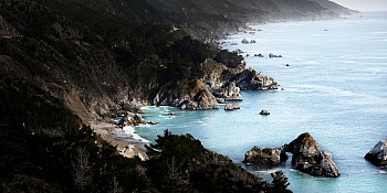 David Drebin -&nbsp;David Drebin The Blue Sea