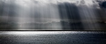 David Drebin -&nbsp;David Drebin Heaven Can Wait