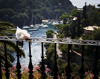 David Drebin -&nbsp;David Drebin Viva Italia