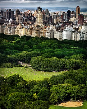 David Drebin -&nbsp;David Drebin Chasing Paradise