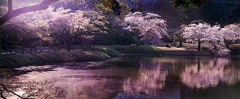 David Drebin -&nbsp;David Drebin Pink Hour