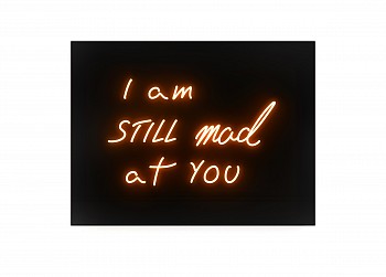 David Drebin -&nbsp;David Drebin I am still mad at you