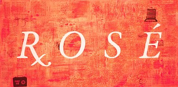 Cayla Birk . -&nbsp;Cayla Birk . Doctor's Orders Seres: ROS&Eacute;