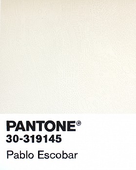 Cayla Birk . -&nbsp;Cayla Birk . Birktone Series: PABLO