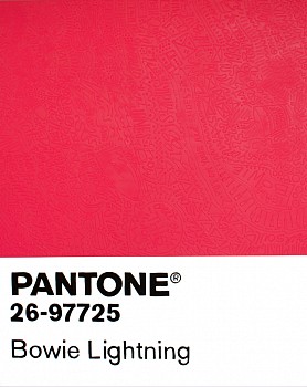 Cayla Birk . -&nbsp;Cayla Birk . Birktone Series: BOWIE