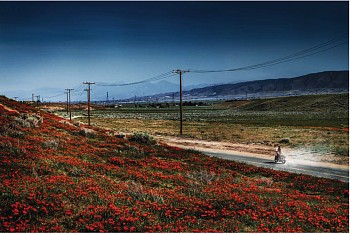 David Drebin -&nbsp;David Drebin Magic Highway