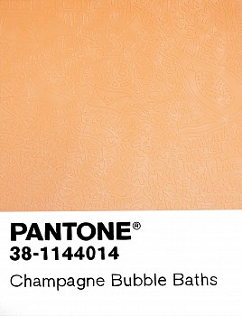 Cayla Birk . -&nbsp;Cayla Birk . Birktone Series: CHAMPAGNE BUBBLE BATHS