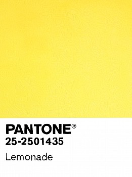 Cayla Birk . -&nbsp;Cayla Birk . Birktone Series: LEMONADE