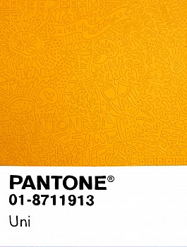 Cayla Birk . -&nbsp;Cayla Birk . Birktone Series: UNI