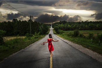 David Drebin - David Drebin On the Road Again