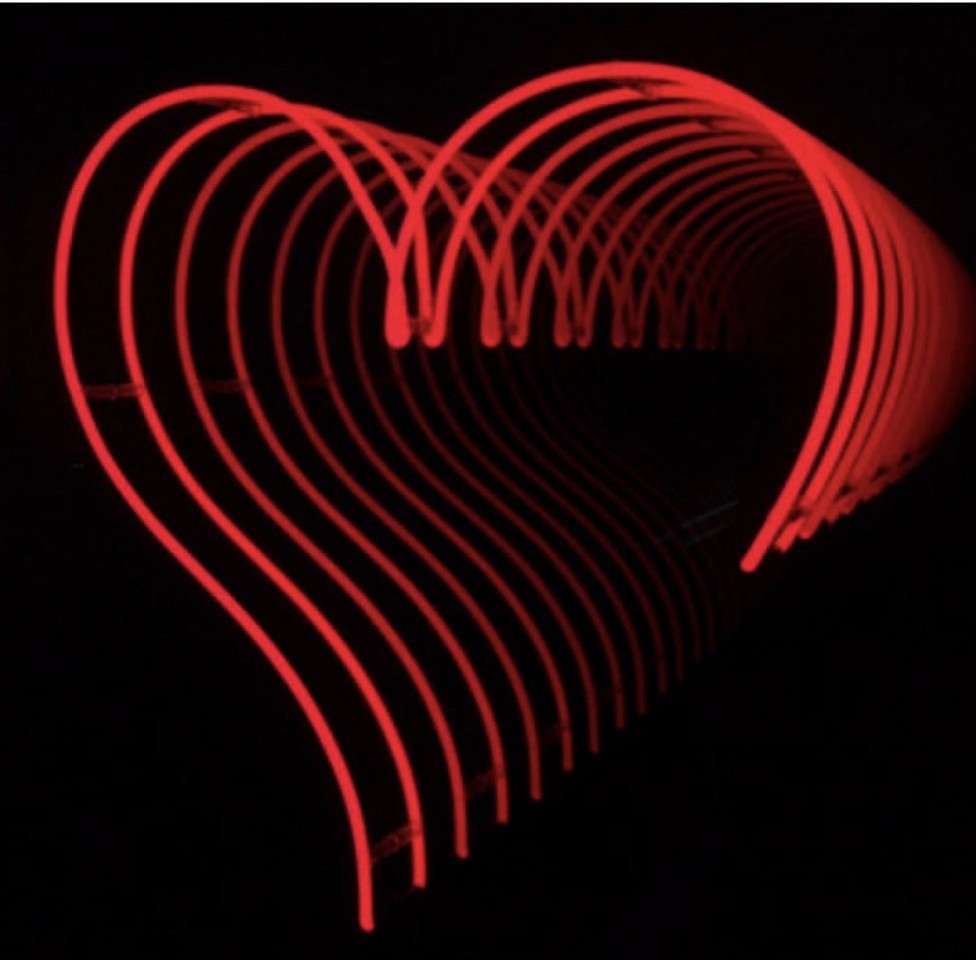 David Drebin, Infinity Heart, 2019
Neon Light Installation, 48 x 48 x 8 inches