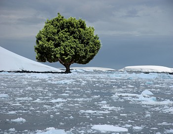 Max-Steven Grossman - Max-Steven Grossman PT2