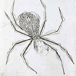 Louise Bourgeois Biography