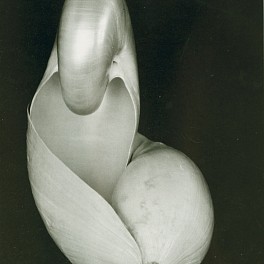 Edward Weston Biography