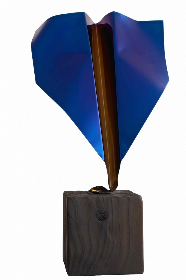 Daniele Sigalot, Paper Plane, 2021
Cobalt Blue PVD Coating on Stainless Steel on Wood Base, 14 x 7 x 5 in.