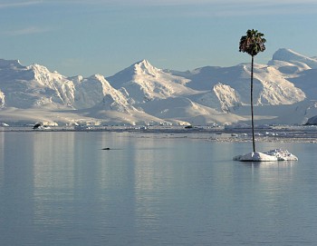 Max-Steven Grossman - Max-Steven Grossman PT 1