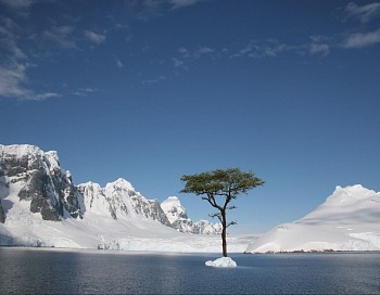 Max-Steven Grossman - Max-Steven Grossman PT 3