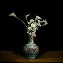 T.M. Glass, Calla Lilies in Chinese Vase
2021, Archival Pigment Print Mounted on Dibond