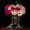 T.M. Glass, Camellias in a Silver Punch Bowl
2018, Archival Pigment Print Mounted on Dibond
