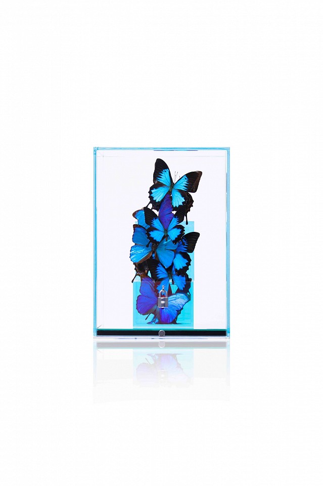Roman Feral, Love Lock Azur, 2023
Iridescent Plexiglass, Original Hermes Lock, Preserved Natural Butterflies, Glass and Mirror Display, Engraved Signature Plate, 14 1/2 x 10 5/8 x 10 5/8 in.