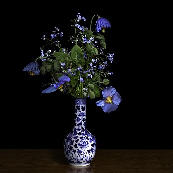 T.M. Glass -&nbsp;T.M. Glass Blue Poppy in a Blue and White Chinese Vase
