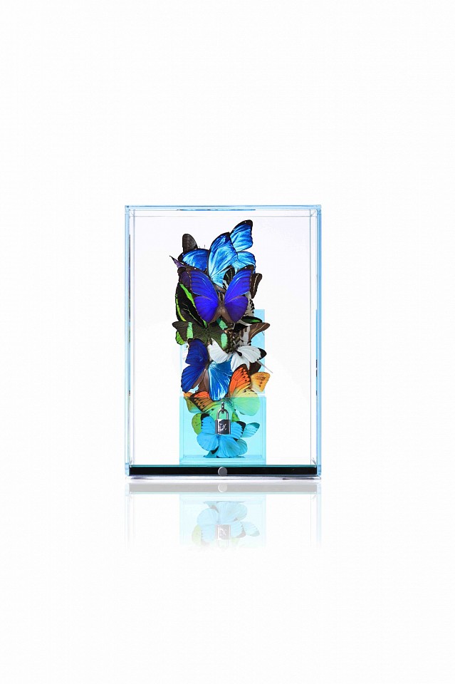 Roman Feral, Love Lock Colorful, 2023
Plexiglass, Original Lock, Preserved Natural Butterflies, Glass and Mirror Display, Engraved Signature Plate, 14 1/2 x 10 5/8 x 10 5/8 in.