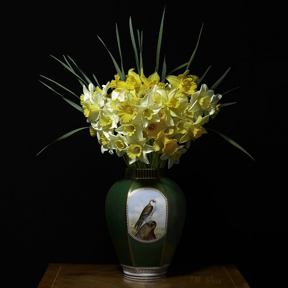 T.M. Glass, Narcissus in a Green Falcon Vessel, 2018
Archival Pigment Print Mounted on Dibond, 42 x 42 in.