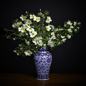 T.M. Glass -&nbsp;T.M. Glass White Hawthorne and White Shrub Rose in a Blue and White Chinese Vessel