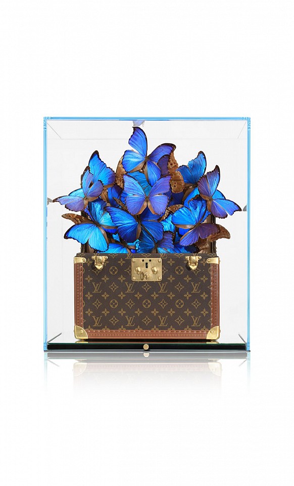 Roman Feral, Louis Vuitton Azur IV, 2023
Original Vintage 70's Louis Vuitton Monogram Chest, Preserved Natural Butterflies, Glass and Mirror Display, 24K Gold Engraved Signature Plate, 21 1/4 x 18 7/8 x 16 7/8 in.