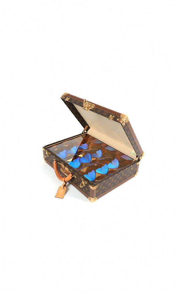 Roman Feral, Mallette LV Azur III, 2022
Louis Vuitton Briefcase, Preserved Natural Butterflies, Glass and Mirror Display, 13 3/4 x 17 5/8 x 5 7/8 in.