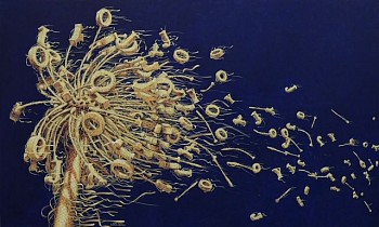 Work: Alexi Torres Wish Series: Joy