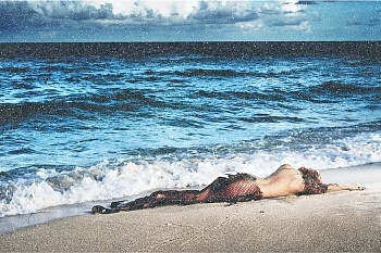 David Drebin - David Drebin Mermaid In Paradise