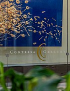 News: Contessa Gallery relocates to Eton Chagrin Boulevard from Legacy Village, July 14, 2025 - ALEXANDRA GOLDEN