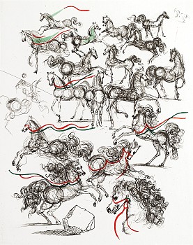 Salvador Dali -&nbsp;Salvador Dali Poems by Mao Tse-Toung: Horses