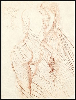 Salvador Dali -&nbsp;Salvador Dali Individual: Nu Sanguine