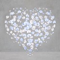 Isabelle van Zeijl, Seawind Heart
2025, Dye Sublimation Aluminum with White Frame