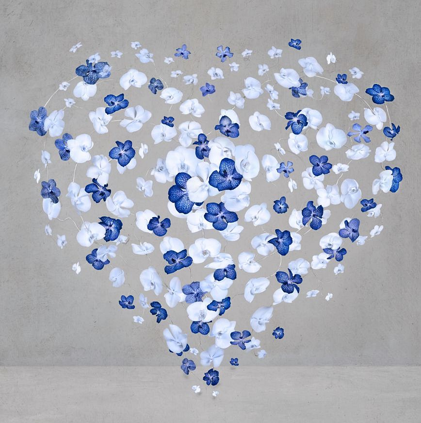 Isabelle van Zeijl, Sailor's Heart, 2025
Dye Sublimation Aluminum with White Frame, 32 x 32 in.