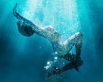 David Drebin -&nbsp;David Drebin Superstar (Diasec)